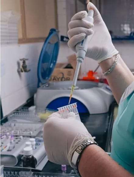 El programa Hemo Corrientes está transformando la red de servicios de hemoterapia